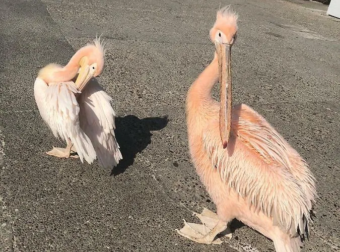 1st Class Location With Sea&pool View 아파트 *